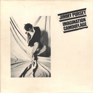 Imagination Camouflage by Jimmy Pursey - album cover