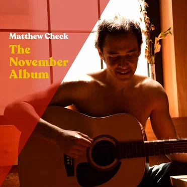 The November Album by Matthew Check - album cover
