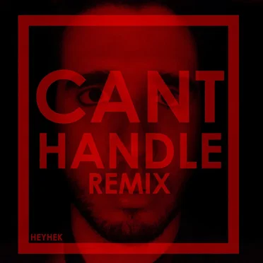Cant Handle (Remix)