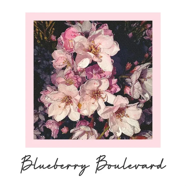 Visions of Blueberry Boulevard