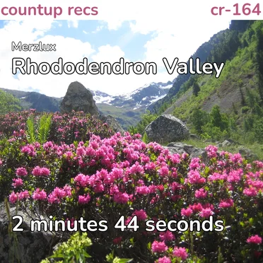 Rhododendron Valley