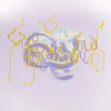 Family (Bloom’s North remix)