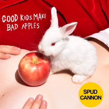 Spud Cannon