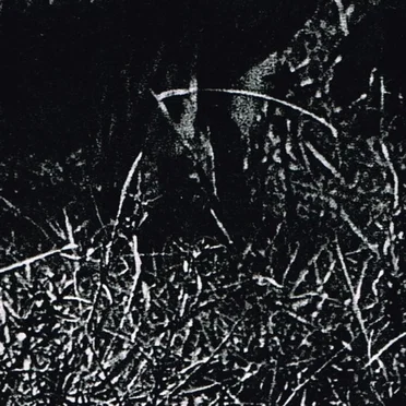 Black for Blood (Demo XXIV)