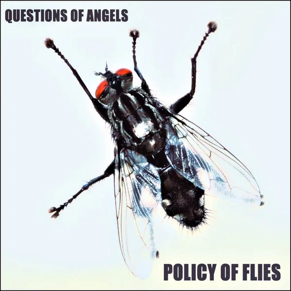 Policy Of Flies
