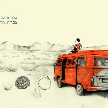 צמרות ברושים