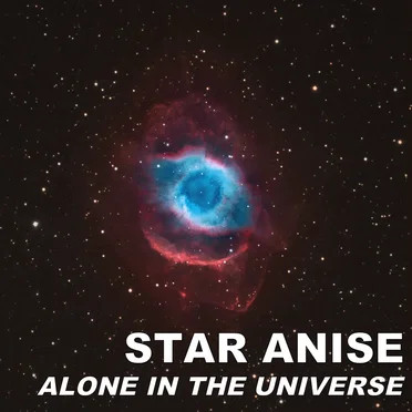Star Anise by Alone In The Universe - album cover