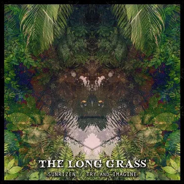 The Long Grass by Try and Imagine - album cover