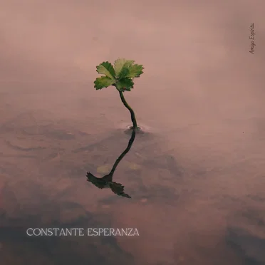 Constante Esperanza by Amigo Espíritu - album cover