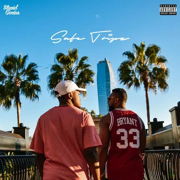 Safe Tripz by StupidGenius - album cover