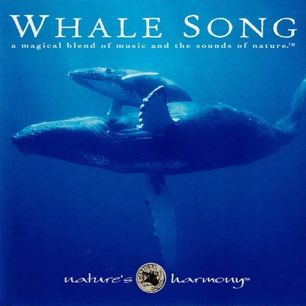 Whale Song