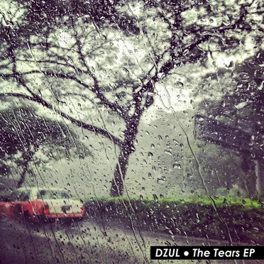 The Tears by DZUL - album cover