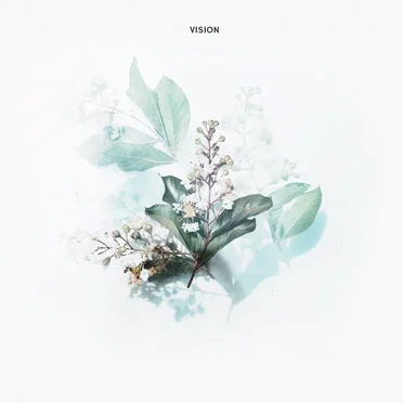 Vision