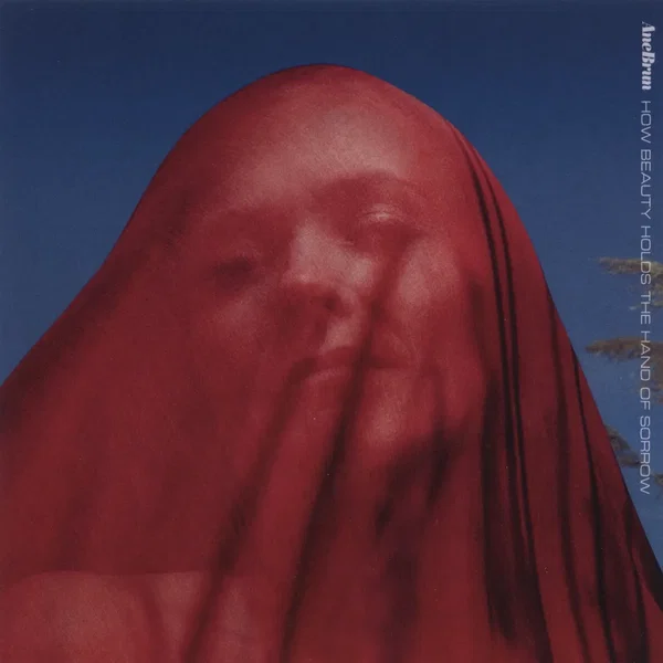 How Beauty Holds the Hand of Sorrow