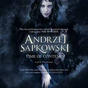 Time of Contempt by Andrzej Sapkowski - album cover