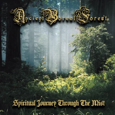 Spiritual Journey Through the Mist