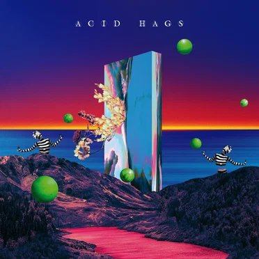 Acid Hags