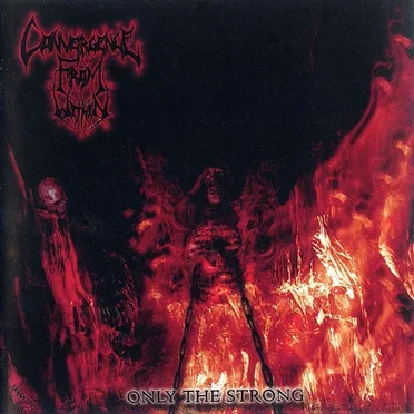 Only the Strong by Convergence From Within - album cover