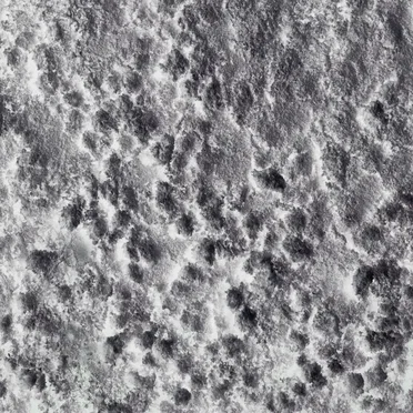 wayfaring strata