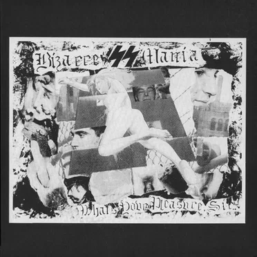 What's Your Pleasure, Sir? by BizarreϟϟMania - album cover