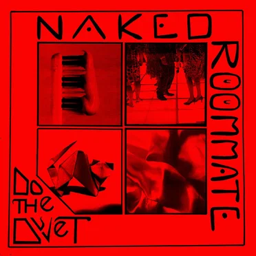 Do the Duvet by Naked Roommate - album cover