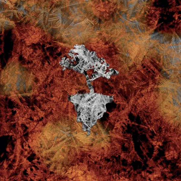 Shuriken Shock / Blossom