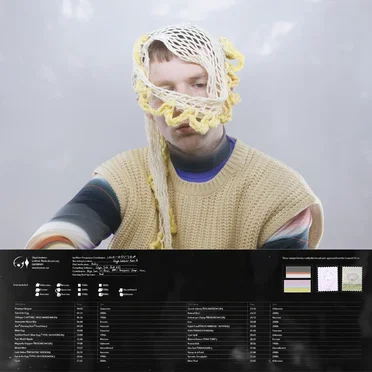 Lei Disk 「Radio•Broadcast」 by Iglooghost - album cover