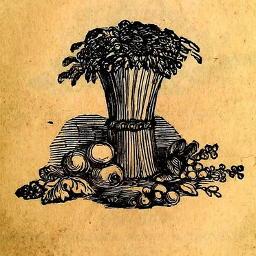 Vegetarianism: The Story So Far #12, “Radicals & Romantics" by Ian McDonald - album cover
