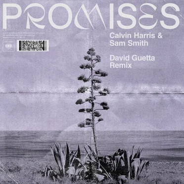 Promises (David Guetta remix)