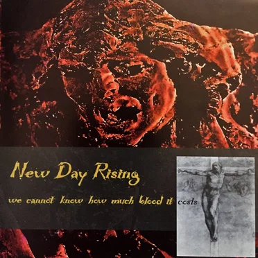 We Cannot Know How Much Blood It Costs by New Day Rising - album cover