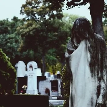 Survivor Guilt