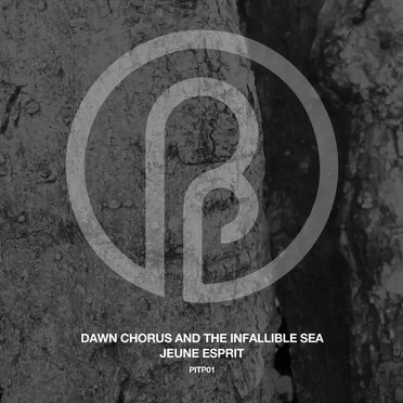 Jeune Esprit by Dawn Chorus and the Infallible Sea - album cover