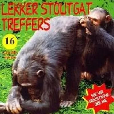 Lekker Stoutgat Treffers
