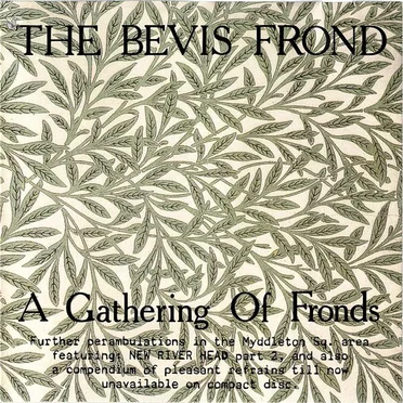 A Gathering of Fronds
