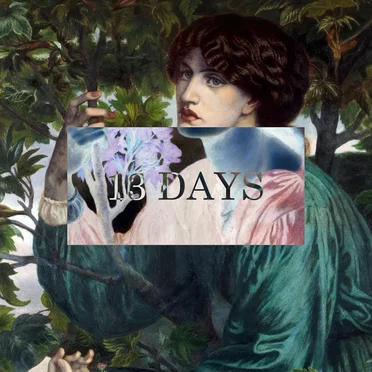 13 DAYS by Birdmask - album cover