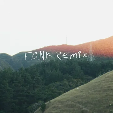 F.O.N.K (Opiture remix)