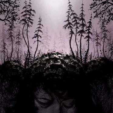 This Kindly Slumber by Birds of Passage - album cover