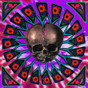 Enjoy by Superbloom - album cover