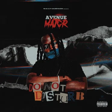 DO NOT DISTURB by Avenue Major - album cover