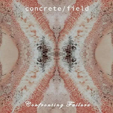 Confronting Failure