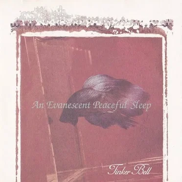 An Evanescent Peaceful Sleep