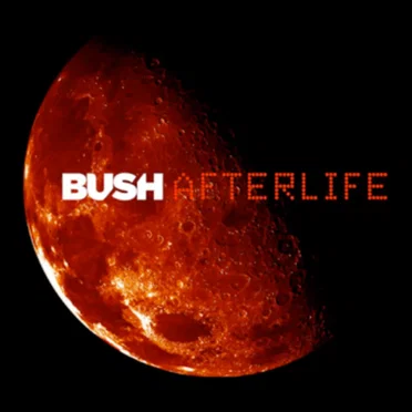 Afterlife