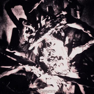 From the Depths of Madness by Various Artists - album cover