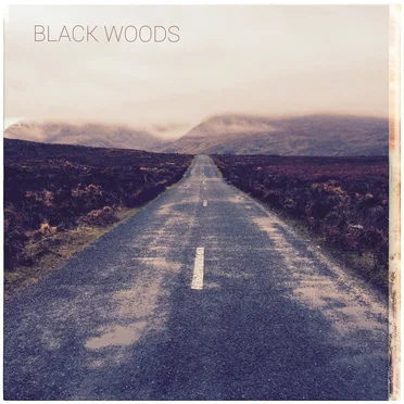 Landscapes by Black Woods - album cover
