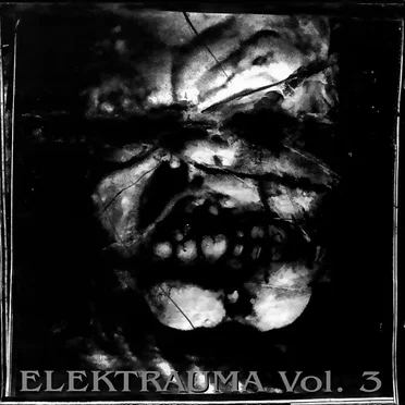 Elektrauma, Volume 3 by Various Artists - album cover