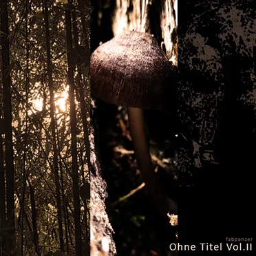 Ohne Titel Vol. II