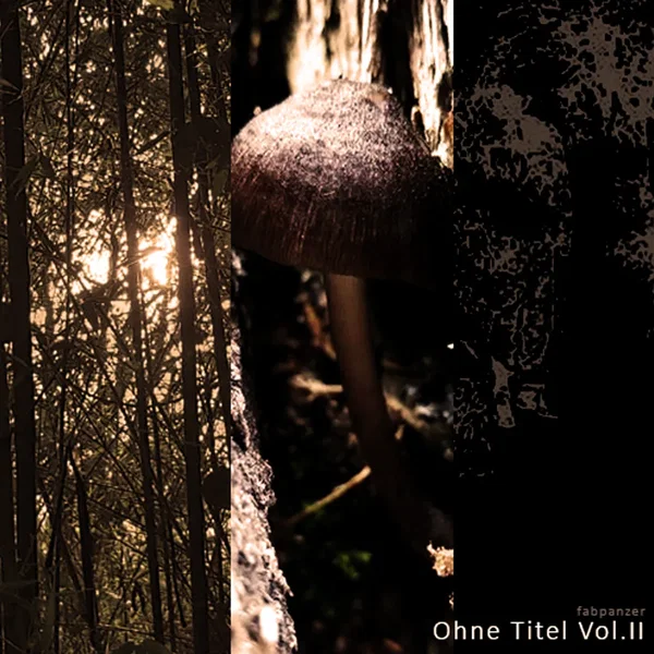 Ohne Titel Vol. II