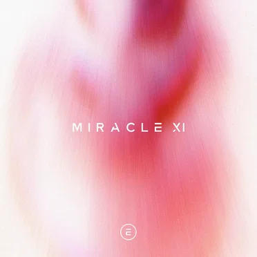 Miracle XI by Various Artists - album cover