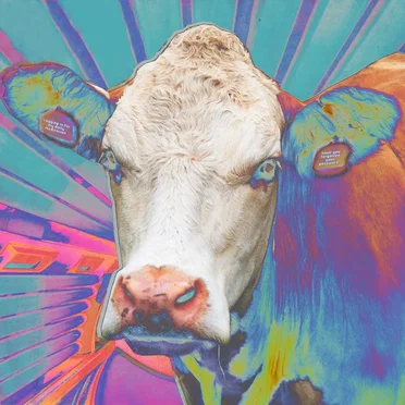 Eyes of Others by Eyes of Others - album cover