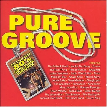 100% Pure Groove by Various Artists - album cover